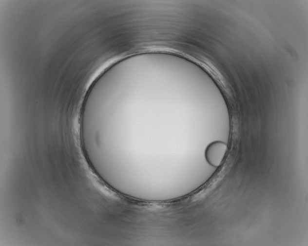X0000111930814200907271029