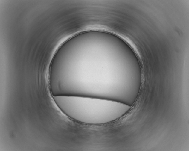 X0000111930815200907271029