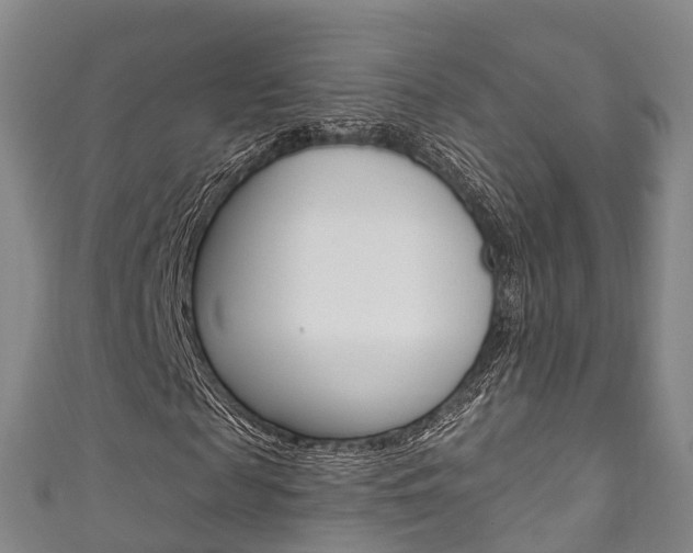 X0000111930817200907271028