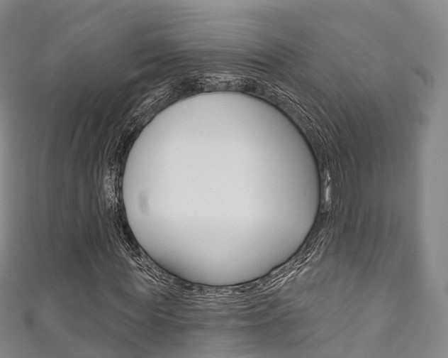 X0000111930819200907271028
