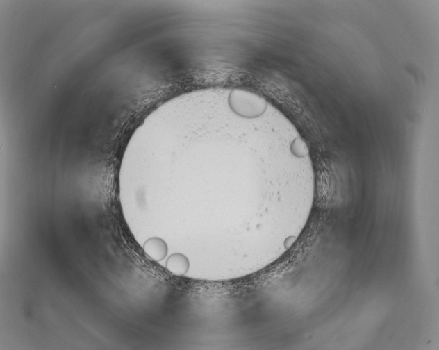 X0000111930820200907271028