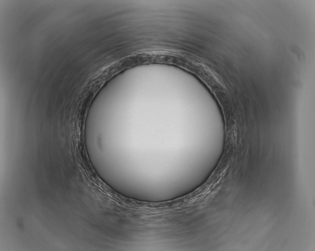 X0000111930821200907271028