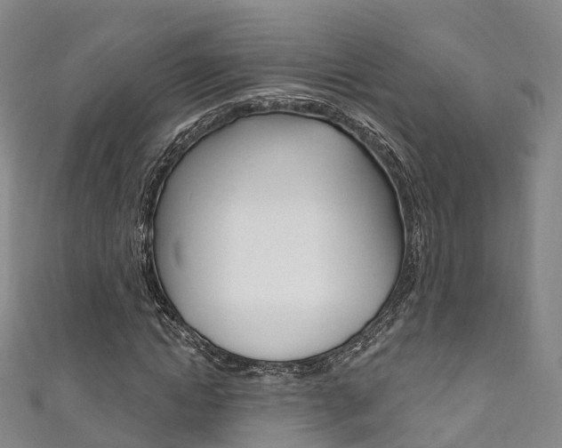 X0000111930822200907271029