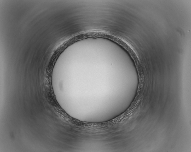 X0000111930823200907271029