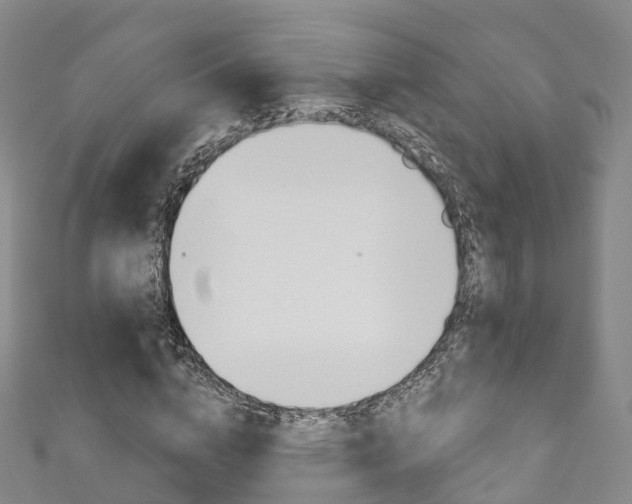 X0000111930824200907271029