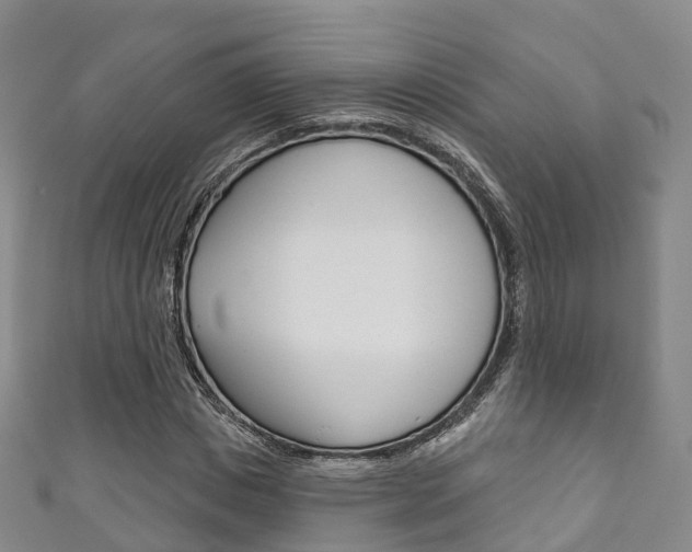 X0000111930825200907271029