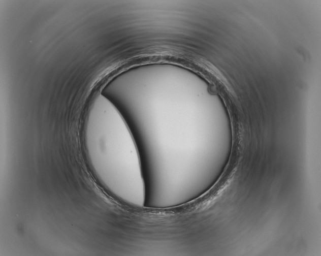 X0000111930826200907271029
