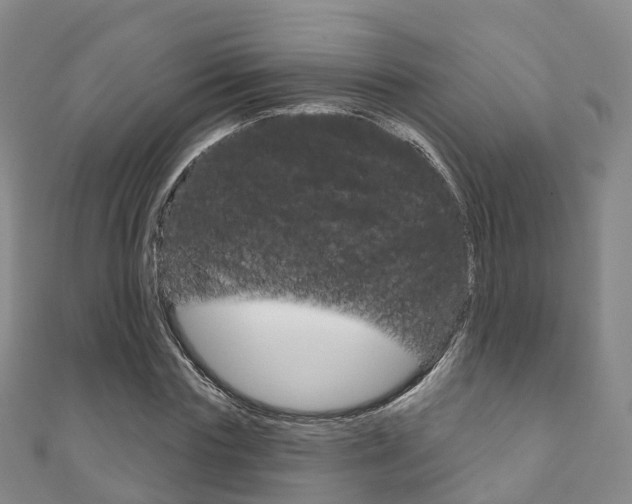 X0000111930827200907271029