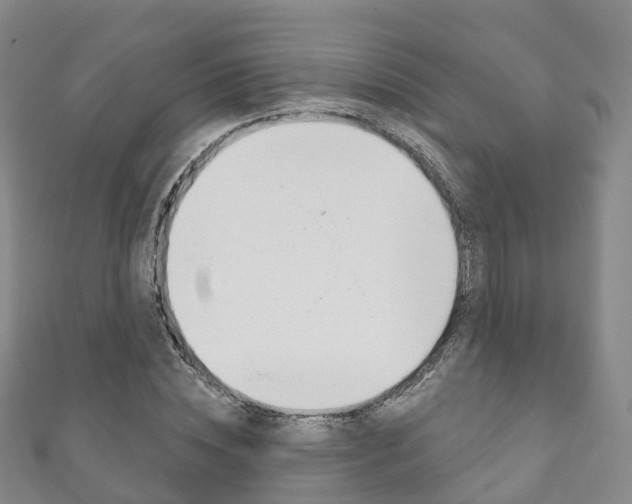 X0000111930828200907271029