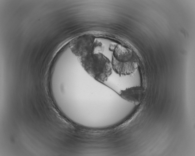 X0000111930829200907271029