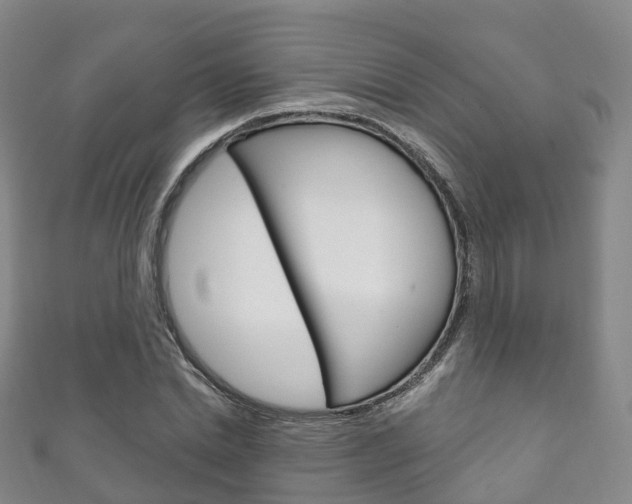 X0000111930830200907271029