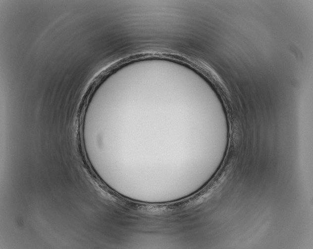 X0000111930831200907271029