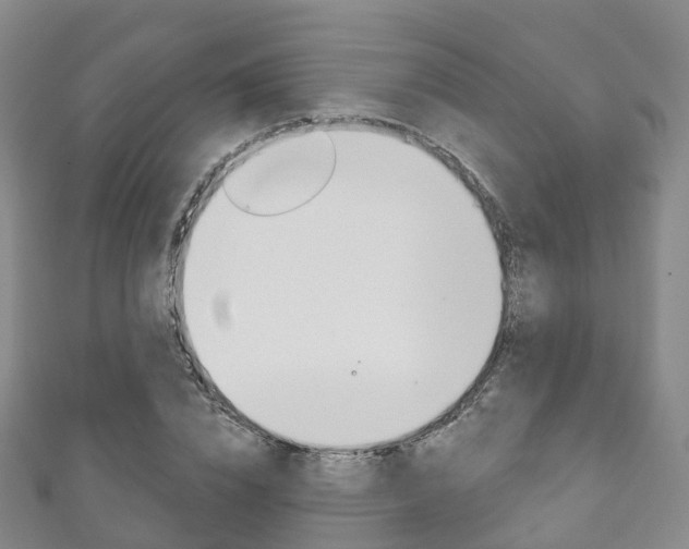 X0000111930832200907271029