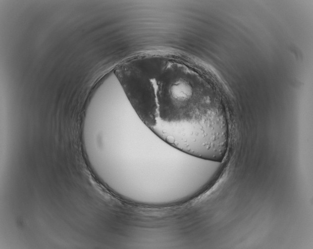 X0000111930833200907271029
