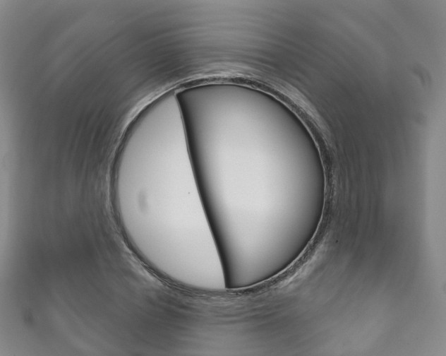 X0000111930834200907271029