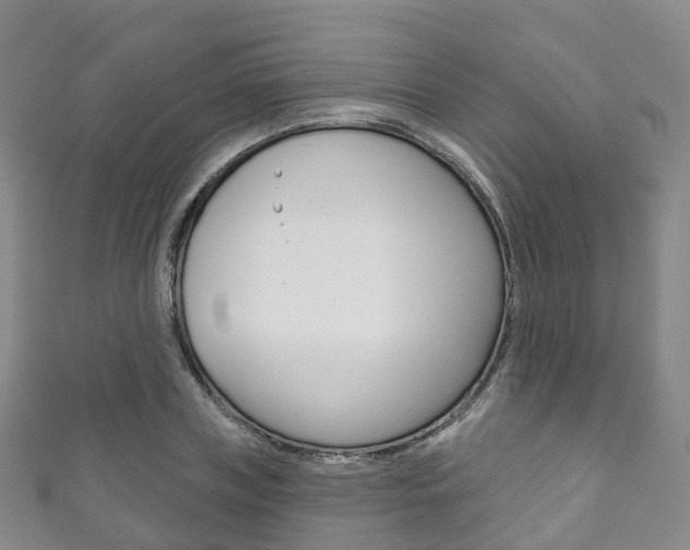 X0000111930835200907271029