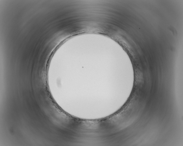 X0000111930836200907271029