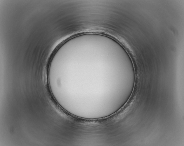 X0000111930838200907271029