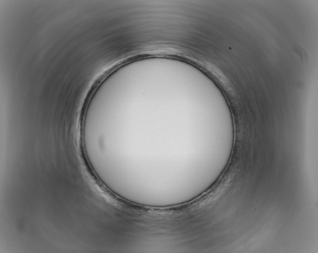 X0000111930840200907271029