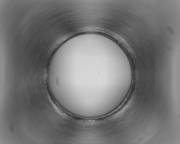 X0000111930841200907271029