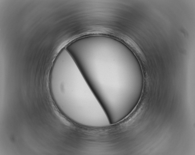 X0000111930842200907271029