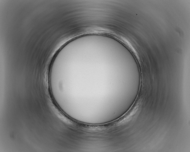 X0000111930843200907271029