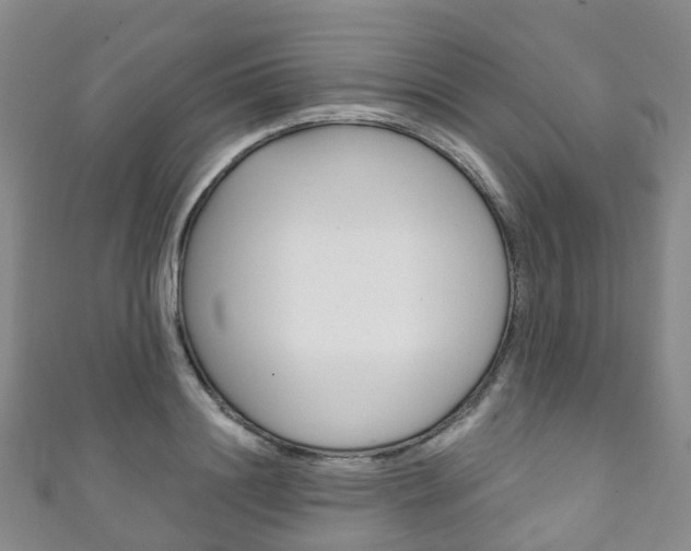 X0000111930844200907271029