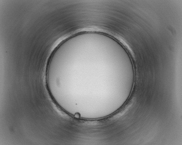 X0000111930845200907271029