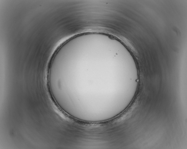 X0000111930846200907271029