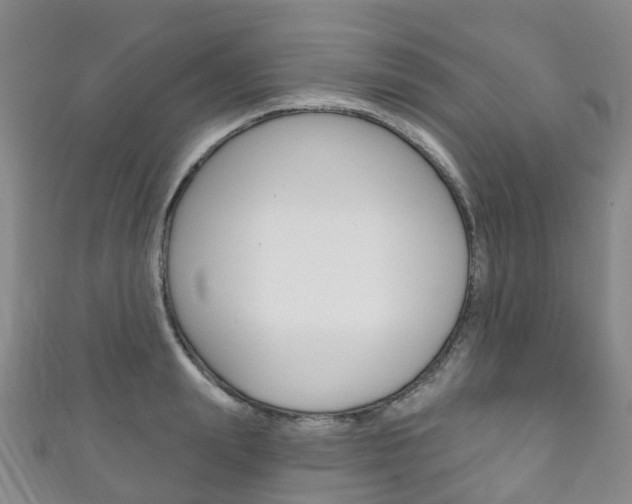 X0000111930847200907271029