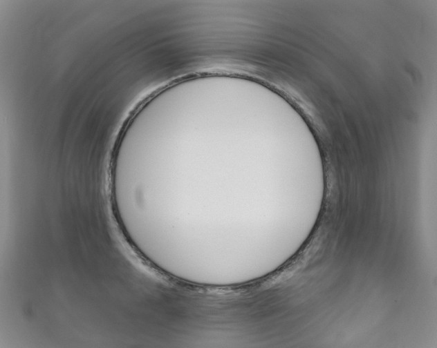 X0000111930848200907271029