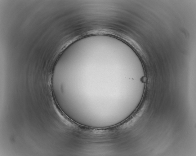 X0000111930849200907271029