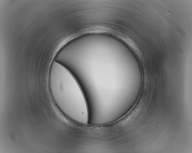 X0000111930850200907271029