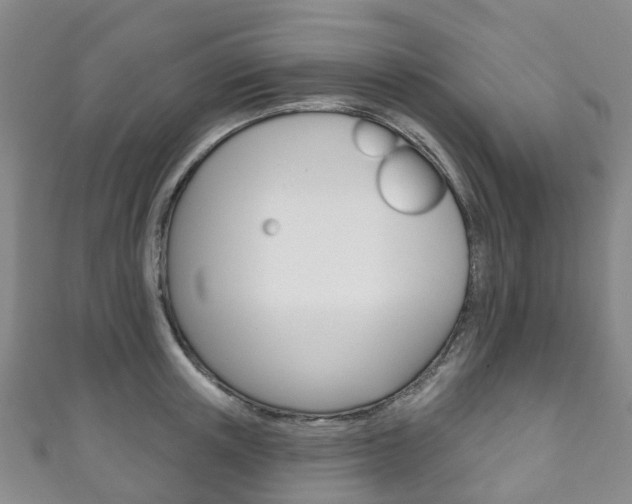 X0000111930851200907271029