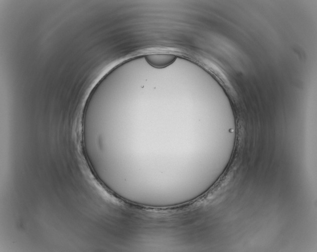 X0000111930852200907271029