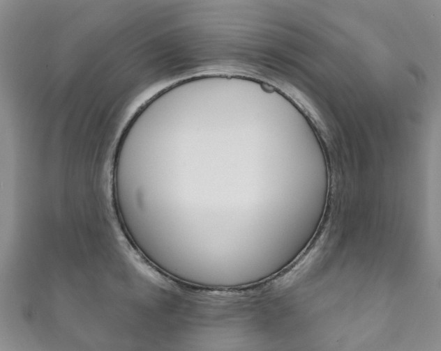 X0000111930854200907271029