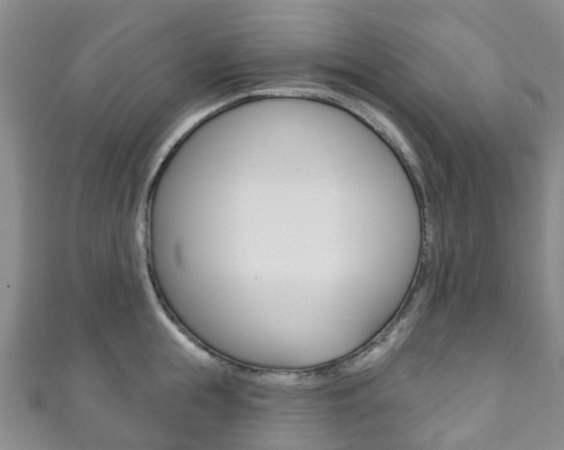 X0000111930855200907271029