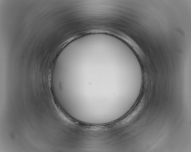 X0000111930857200907271029