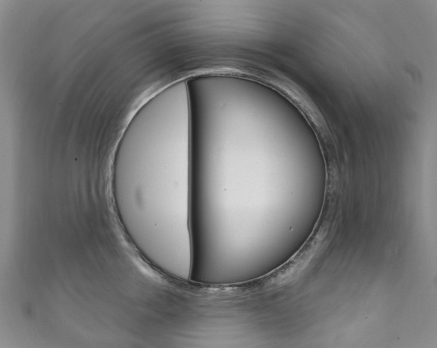 X0000111930858200907271029