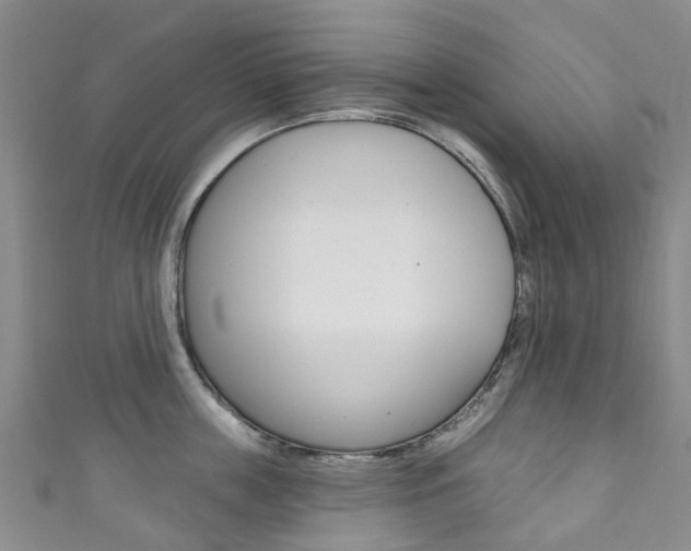 X0000111930859200907271029