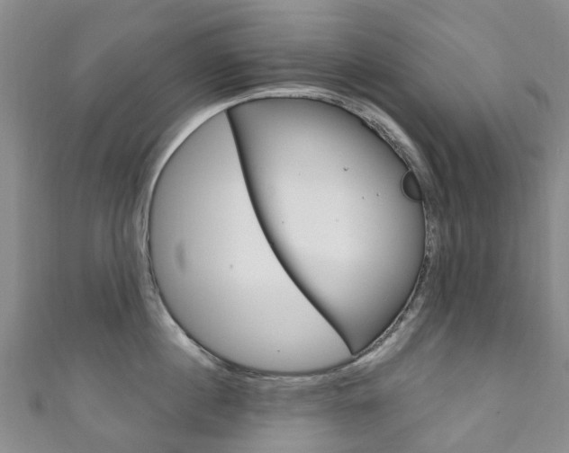 X0000111930860200907271029