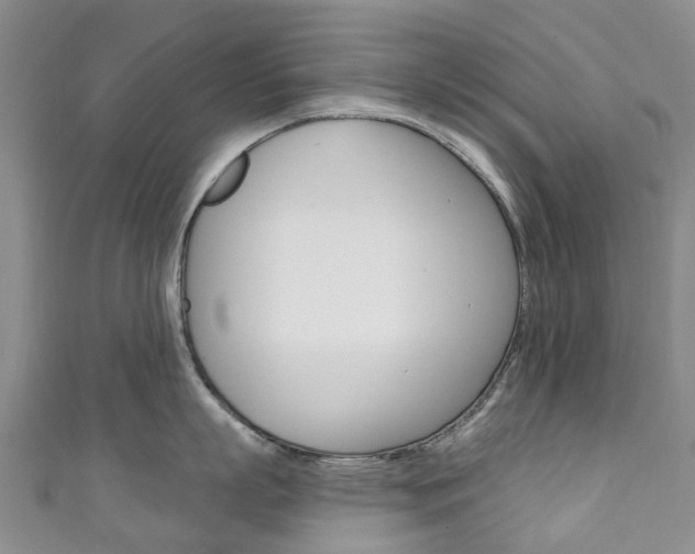 X0000111930863200907271029