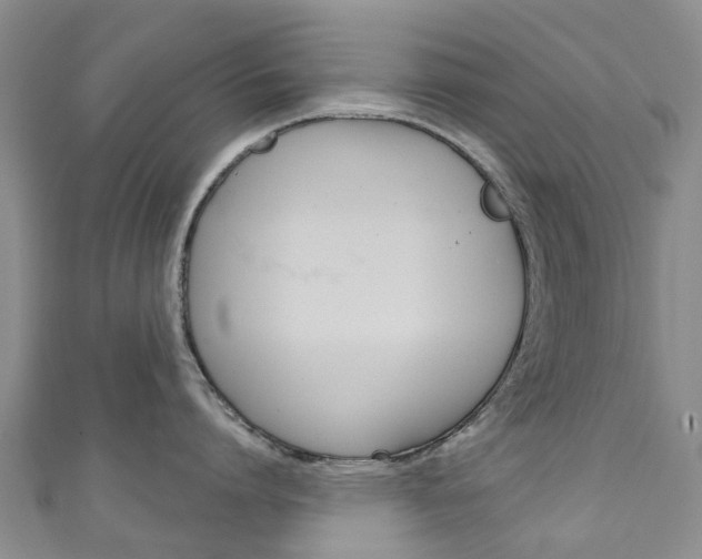 X0000111930864200907271029