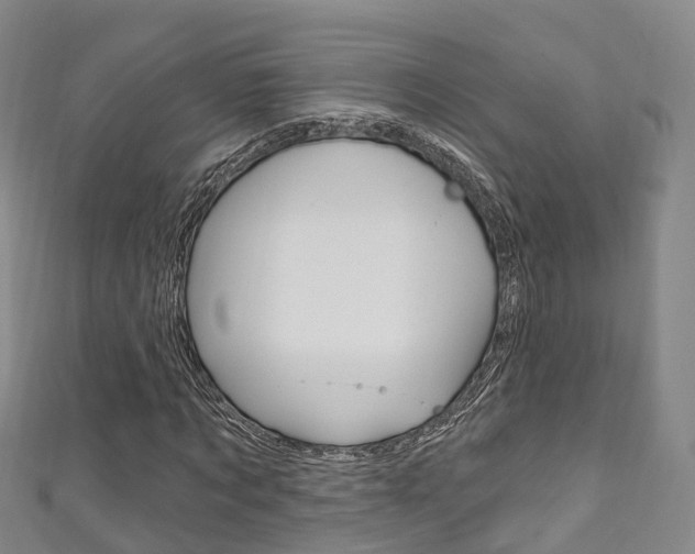 X0000111930869200907271028