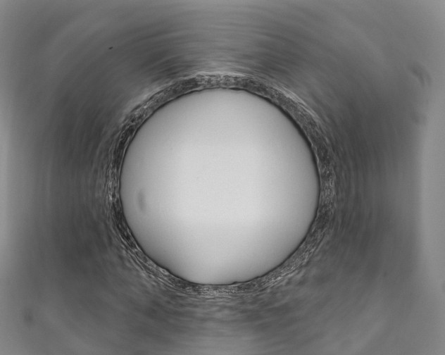 X0000111930870200907271028