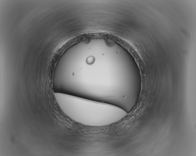 X0000111930871200907271028