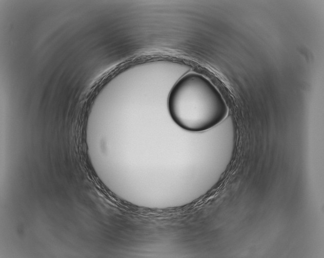 X0000111930872200907271028