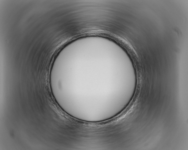 X0000111930873200907271028