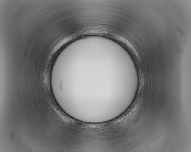 X0000111930874200907271028