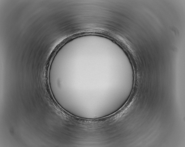 X0000111930875200907271028